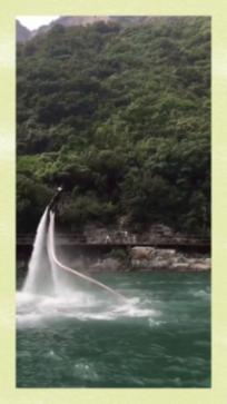 老鹰逃生