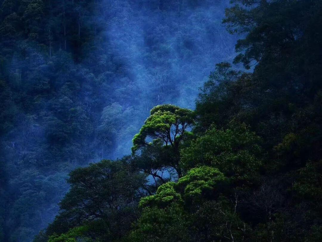 喜羊羊与美羊羊历险记3