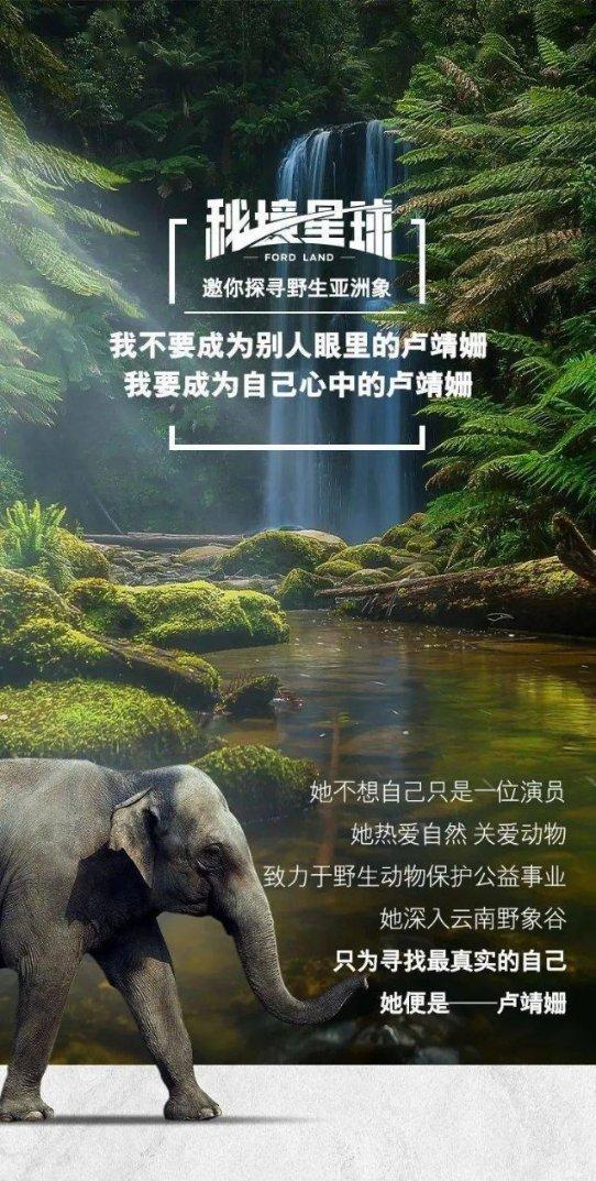 动物帮帮忙保卫家园
