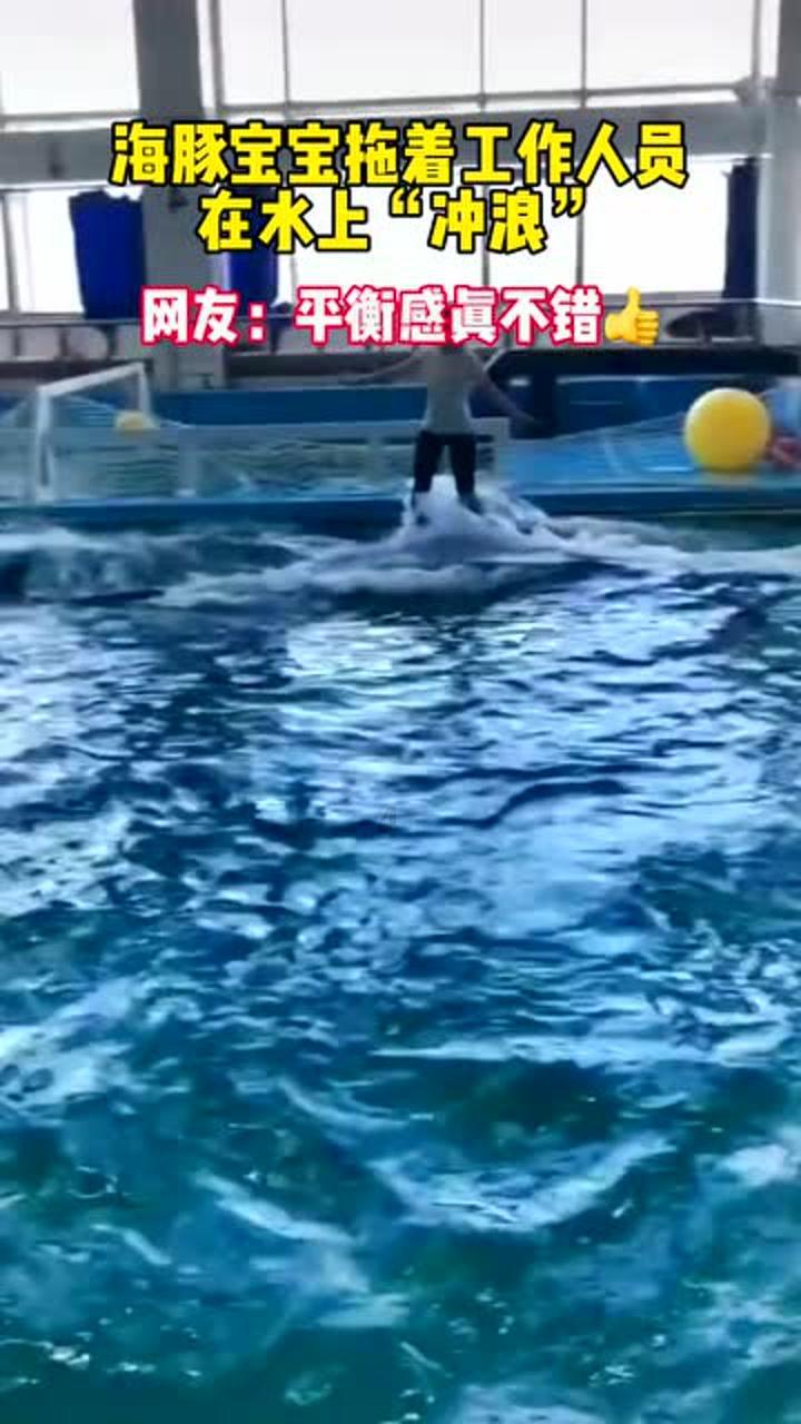 逗小猴开心系列208