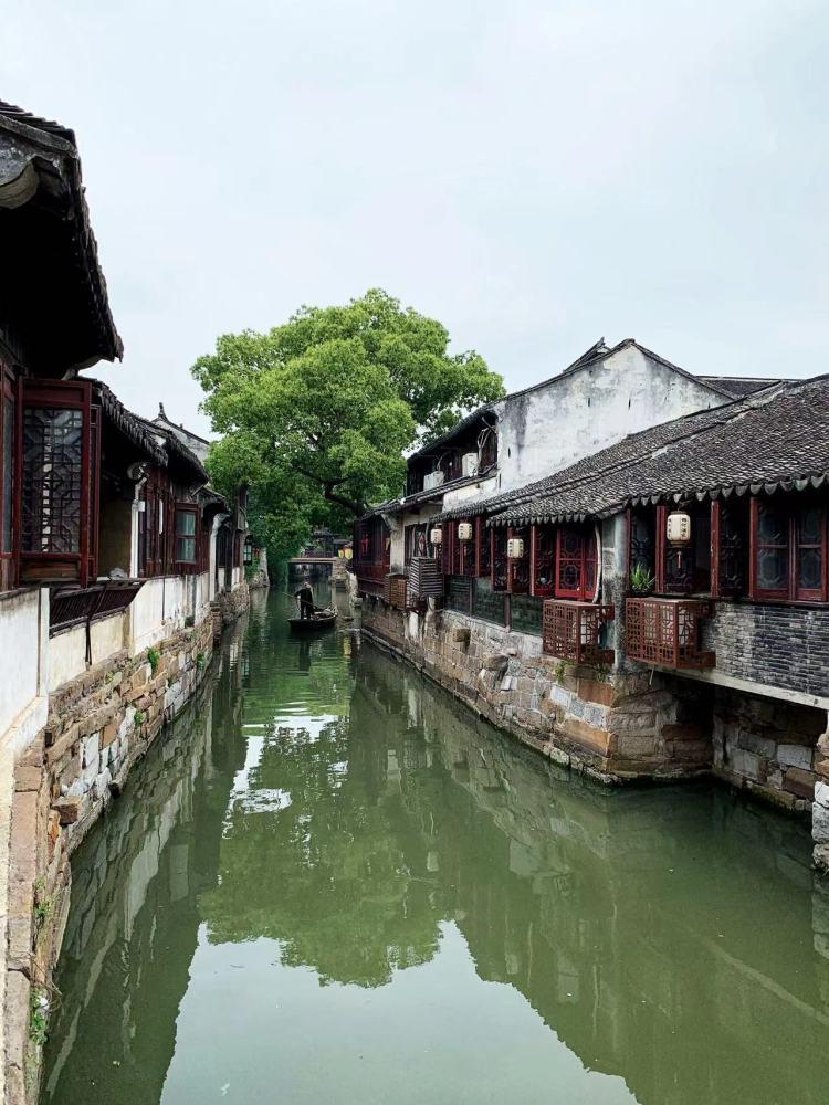 上海人与“吃茶”
